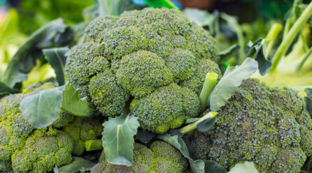 Benefits of broccoli for your health