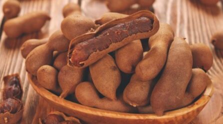 Tamarind’s medical advantages are recorded here