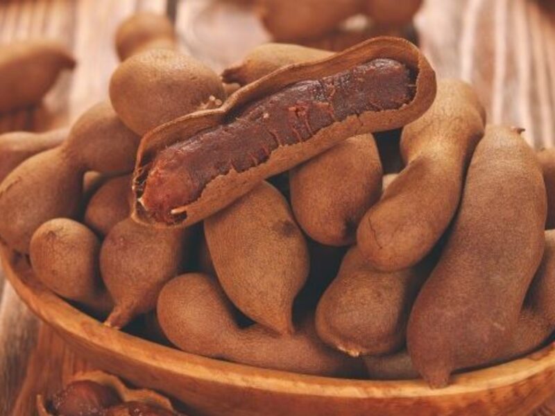 Tamarind’s medical advantages are recorded here